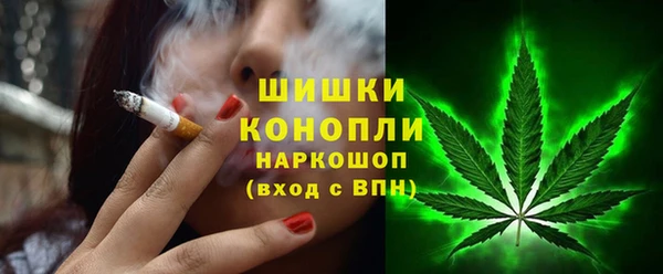 дживик Белокуриха