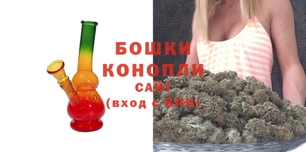 дживик Белокуриха