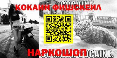 шишки Славгород