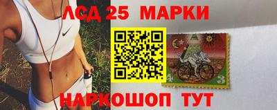 шишки Славгород