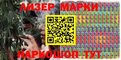 шишки Славгород