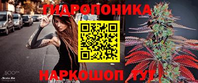 винт Сланцы