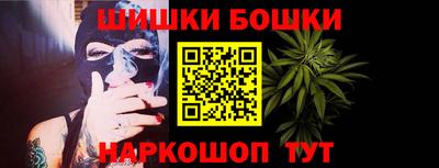 шишки Славгород