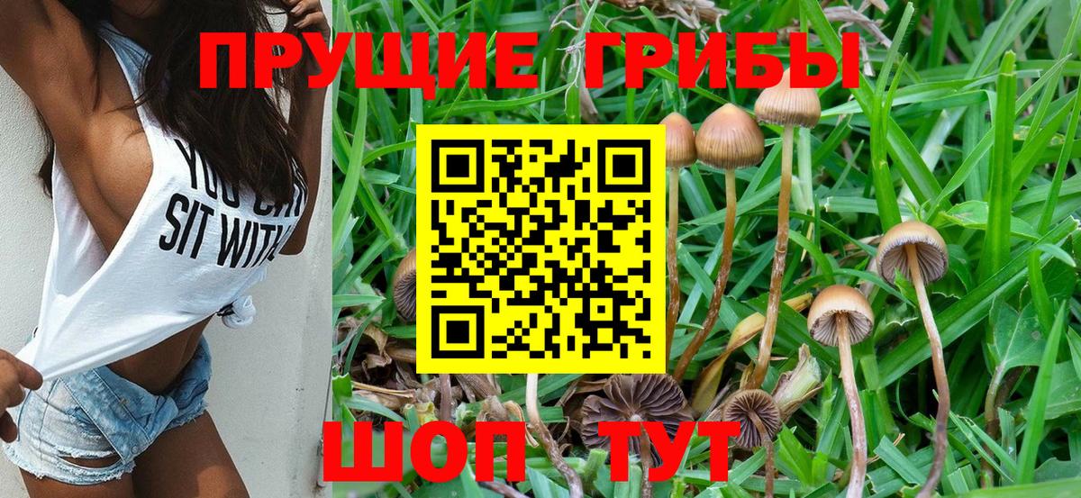 Пыть-Ях  Галлюциногенные грибы Magic Shrooms  Вход с VPN  Псилоцибиновые грибы мицелий 