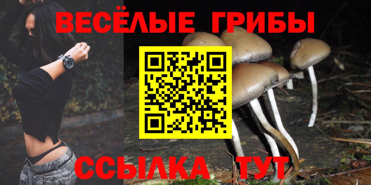 Галлюциногенные грибы мухоморы Пыть-Ях
